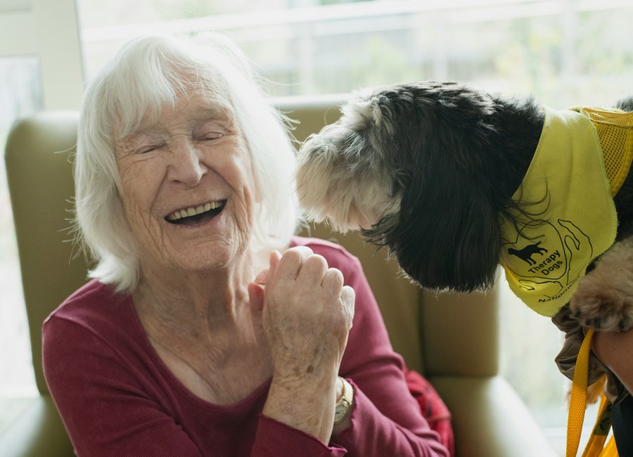 Elderly resident laughing during a therapy dog visit